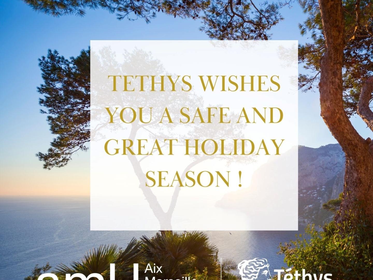 Meilleurs voeux - Best wishes